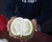 Durian in Mangga Besar Food Tour